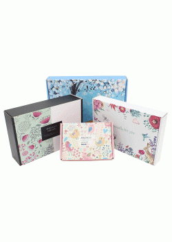 Çok Renk Baskılı E ticaret Kargo Kutusu 