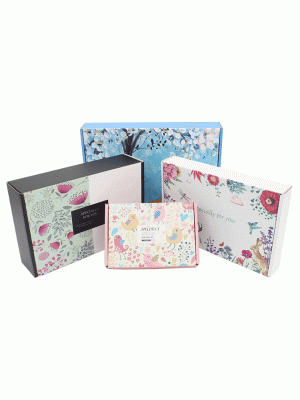 Çok Renk Baskılı E ticaret Kargo Kutusu 